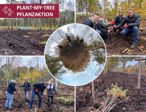 Unsere Man-Power war wieder einmal gefragt-Baumpflanztour 2022 mit PLANT-MY-TREE®
